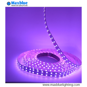 RGB LED Strip 5050SMD 120LEDs/M Double Row 24VDC Strip LED Light